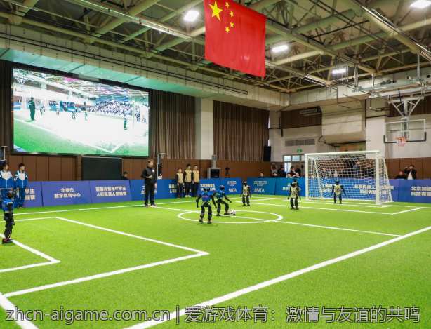 爱游戏体育：激情与友谊的共鸣